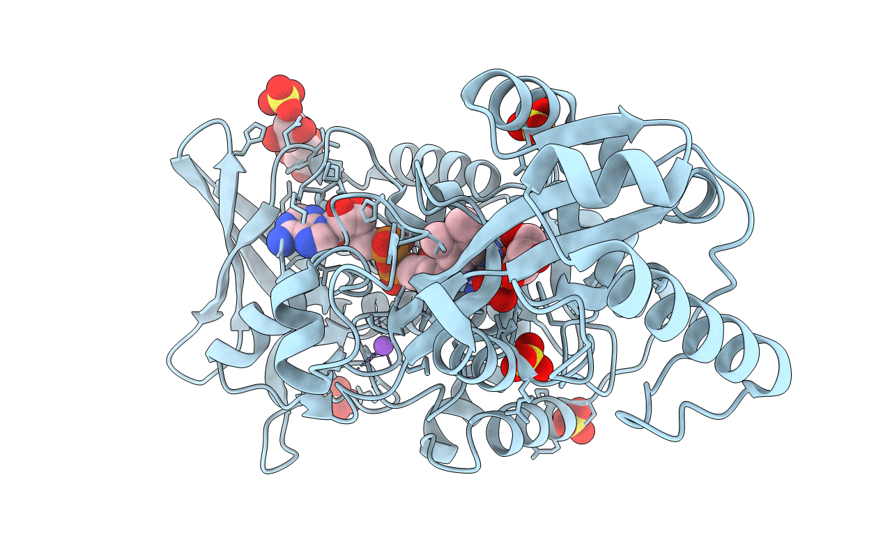 6T86 image