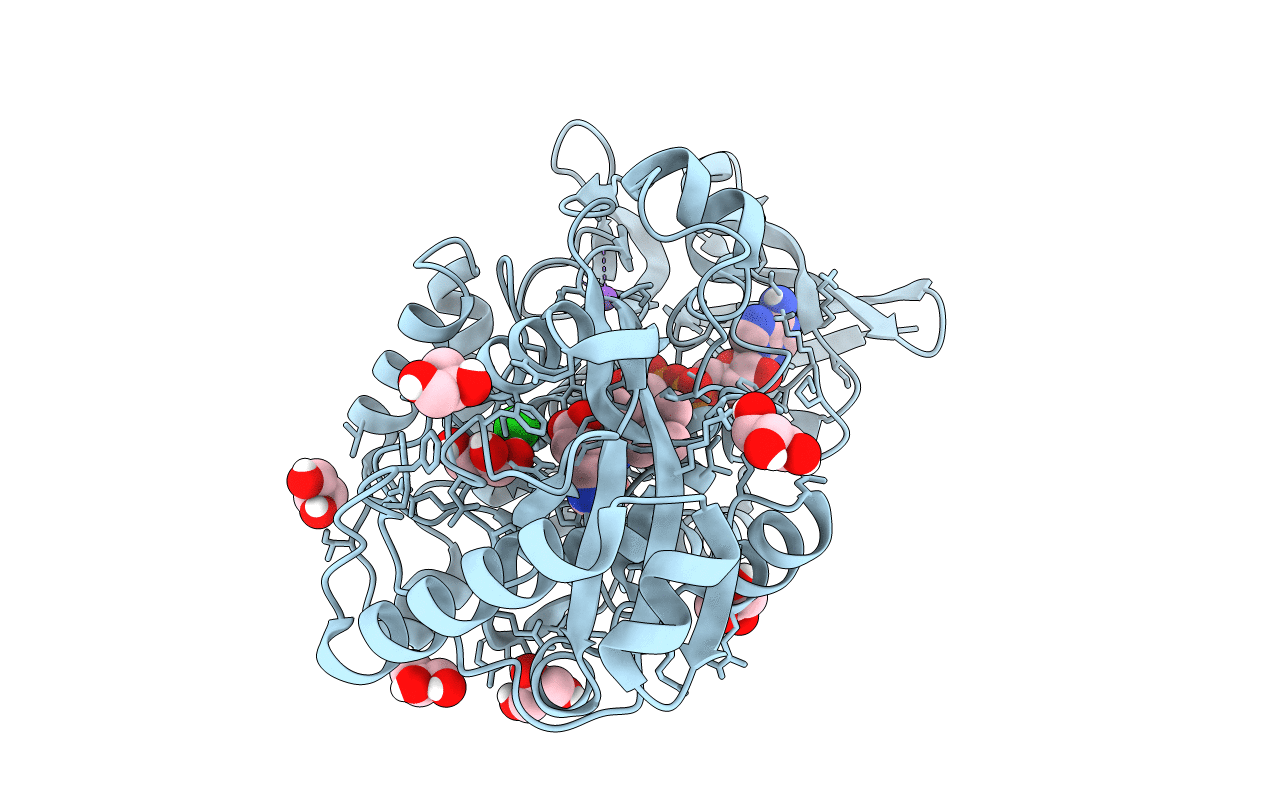 6T88 image
