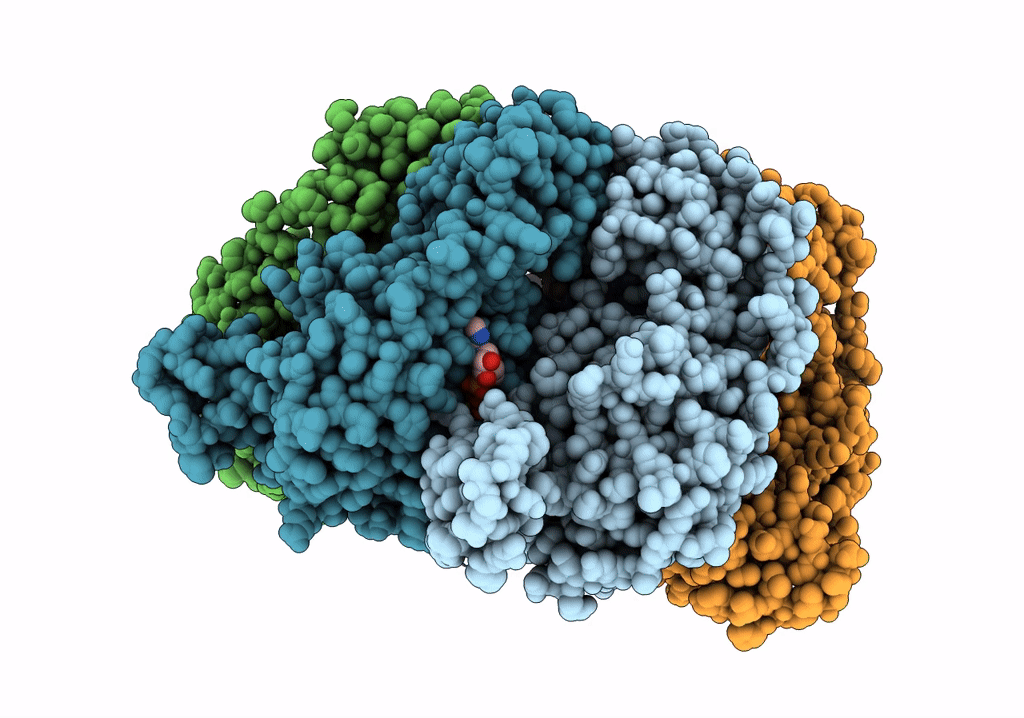 6T8B image