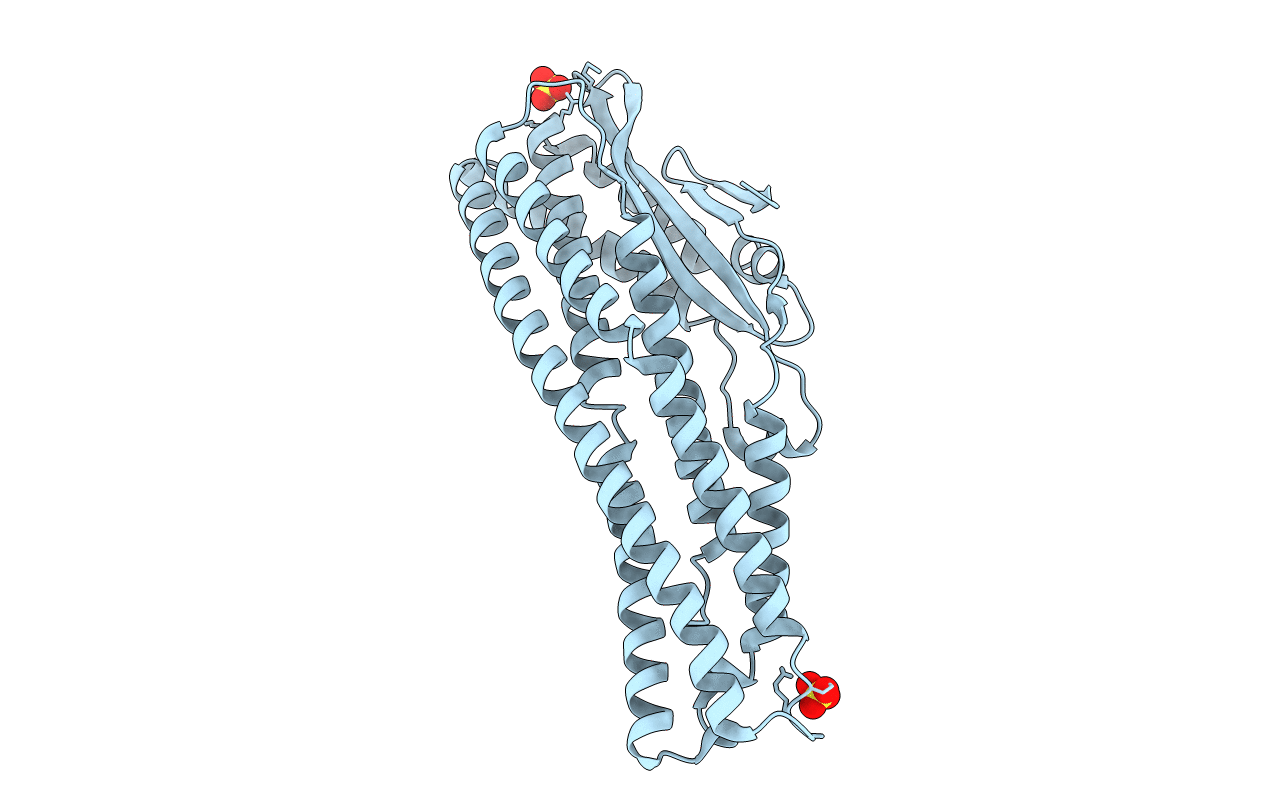 6T8D image