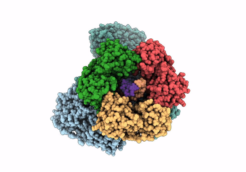 6T8H image