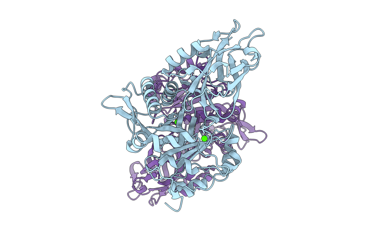6T8K image