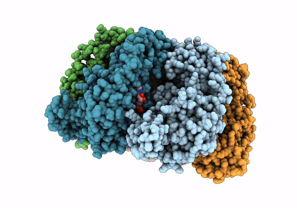 6T8O image