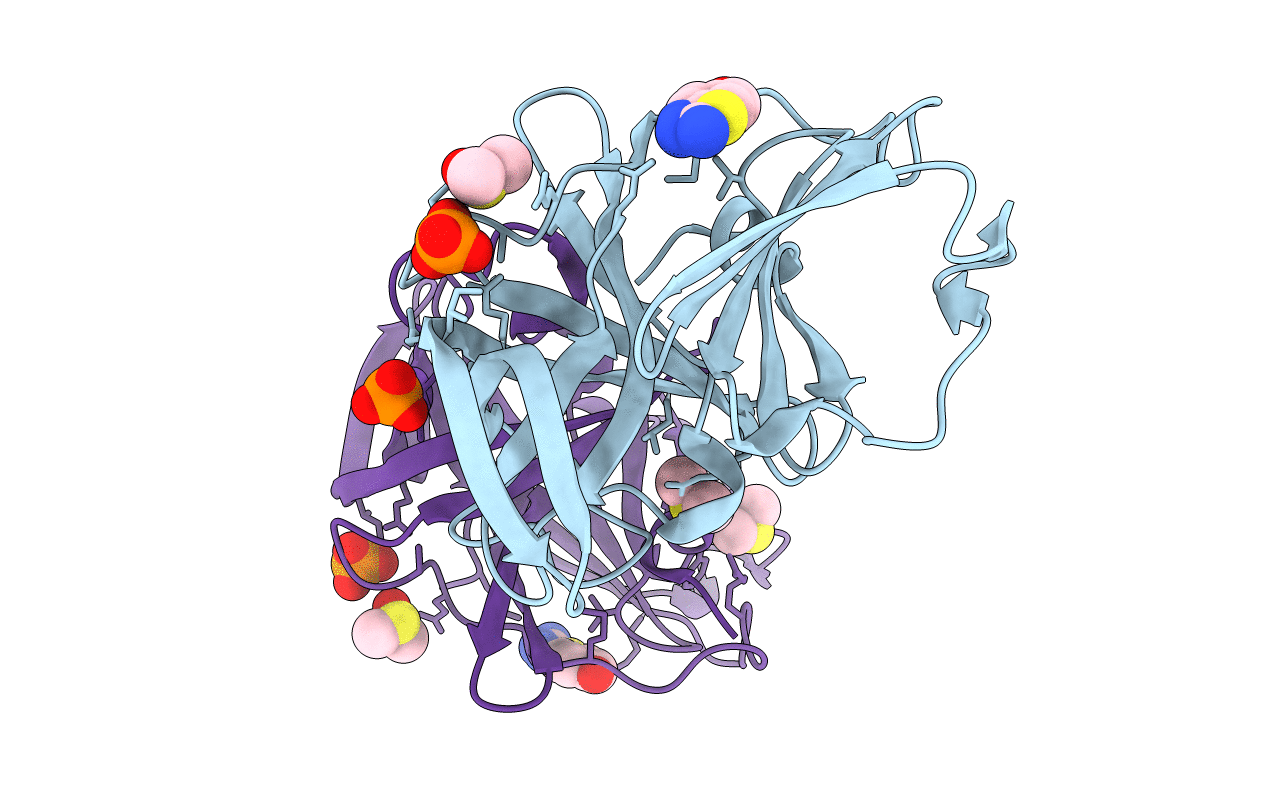 6T8R image