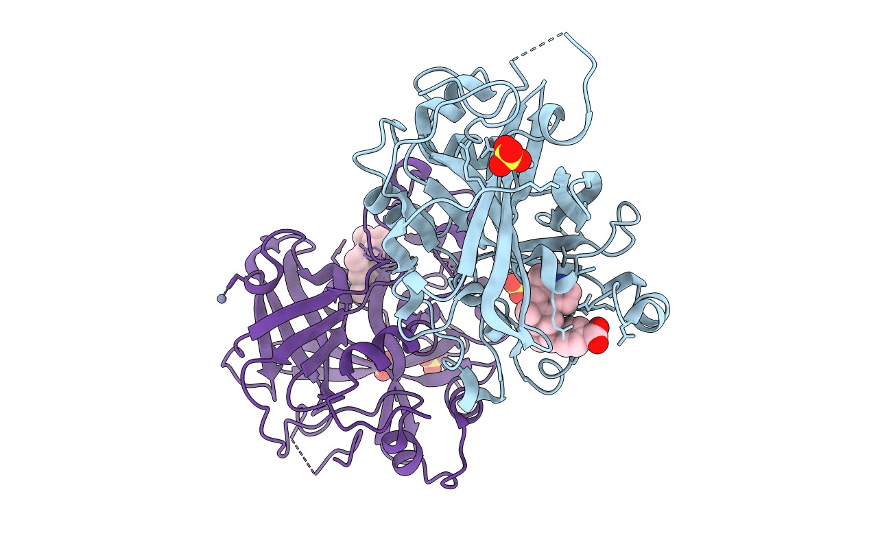 6T8V image