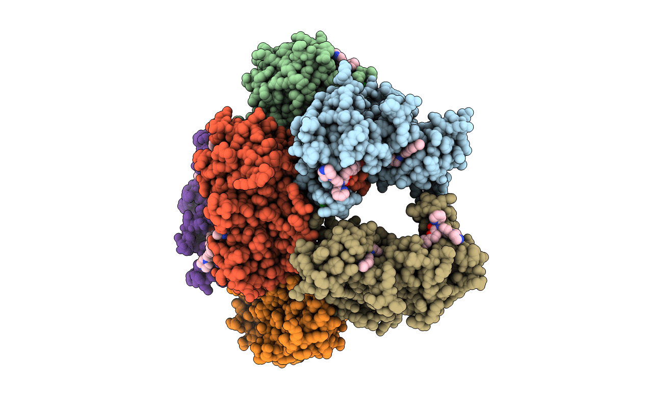 6T8X image