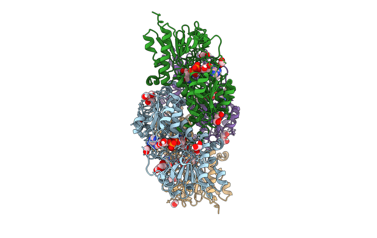 6T8Z image