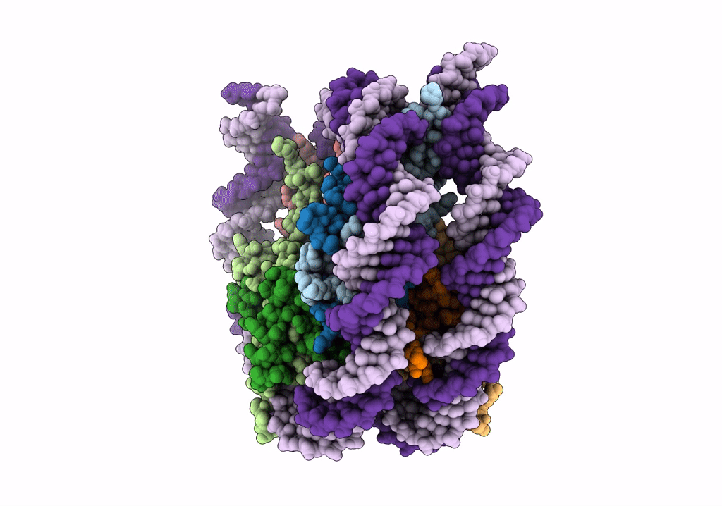 6T93 image