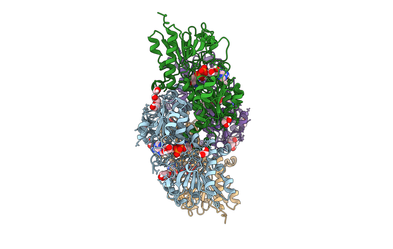 6T94 image