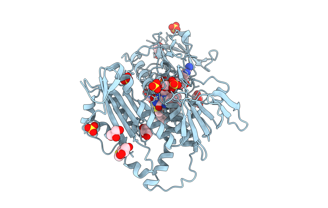 6T95 image
