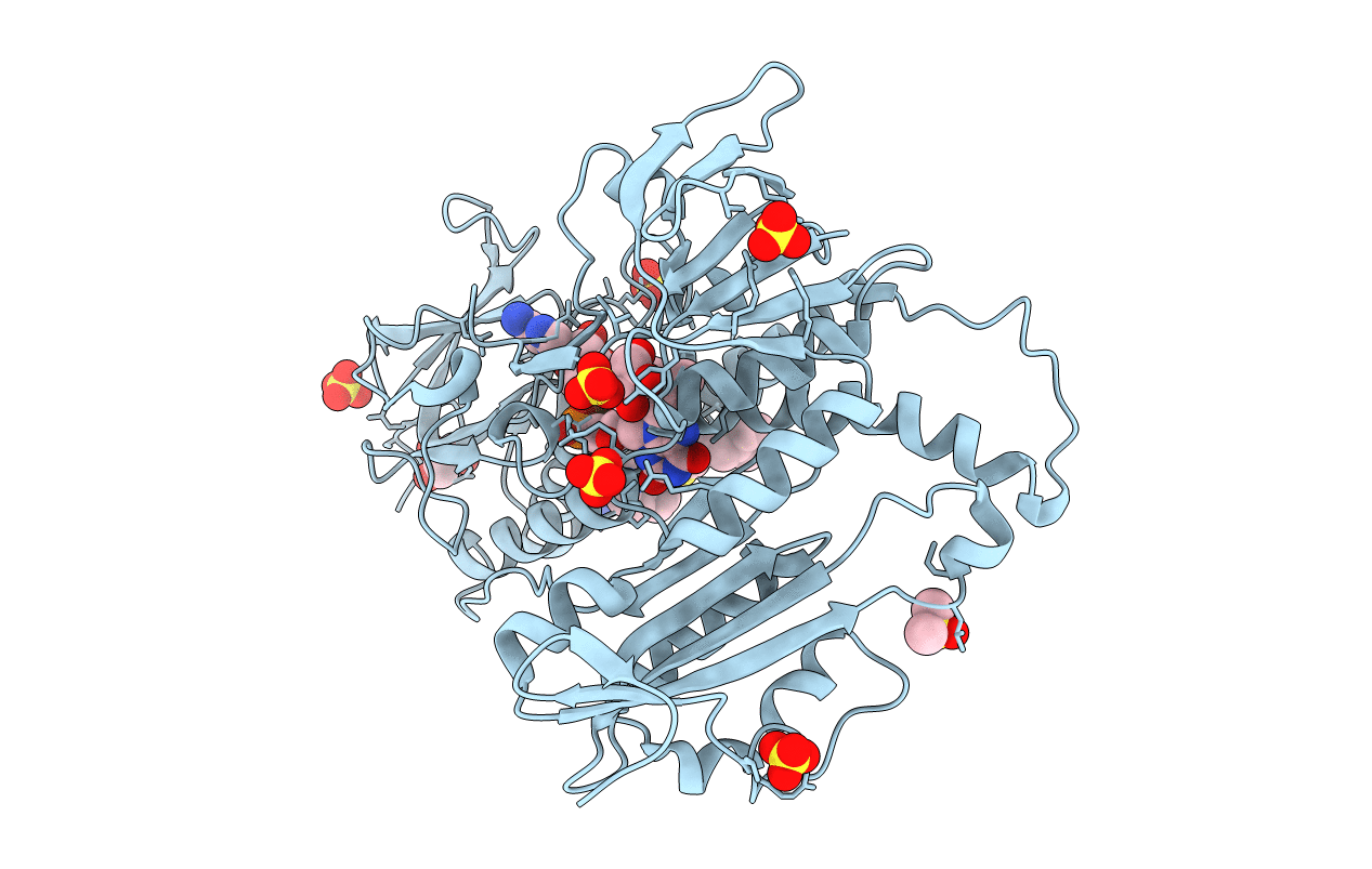 6T98 image