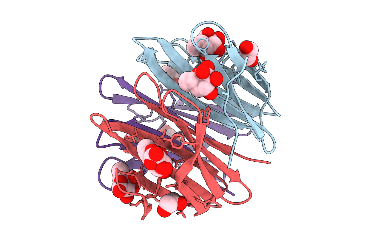 6T9A image