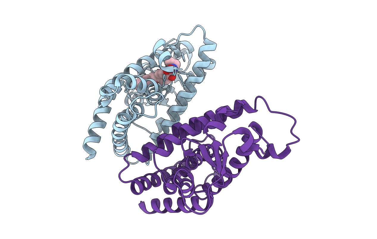 6T9C image