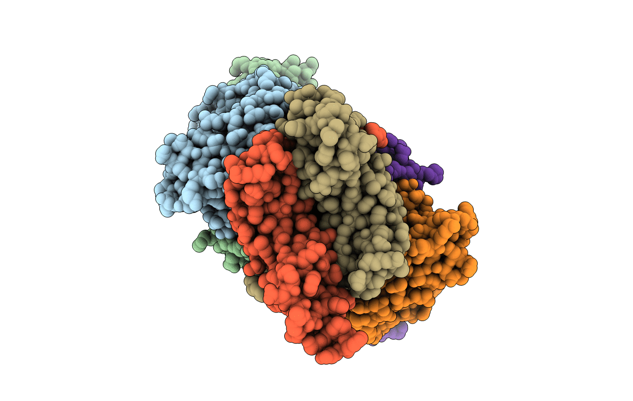 6T9D image