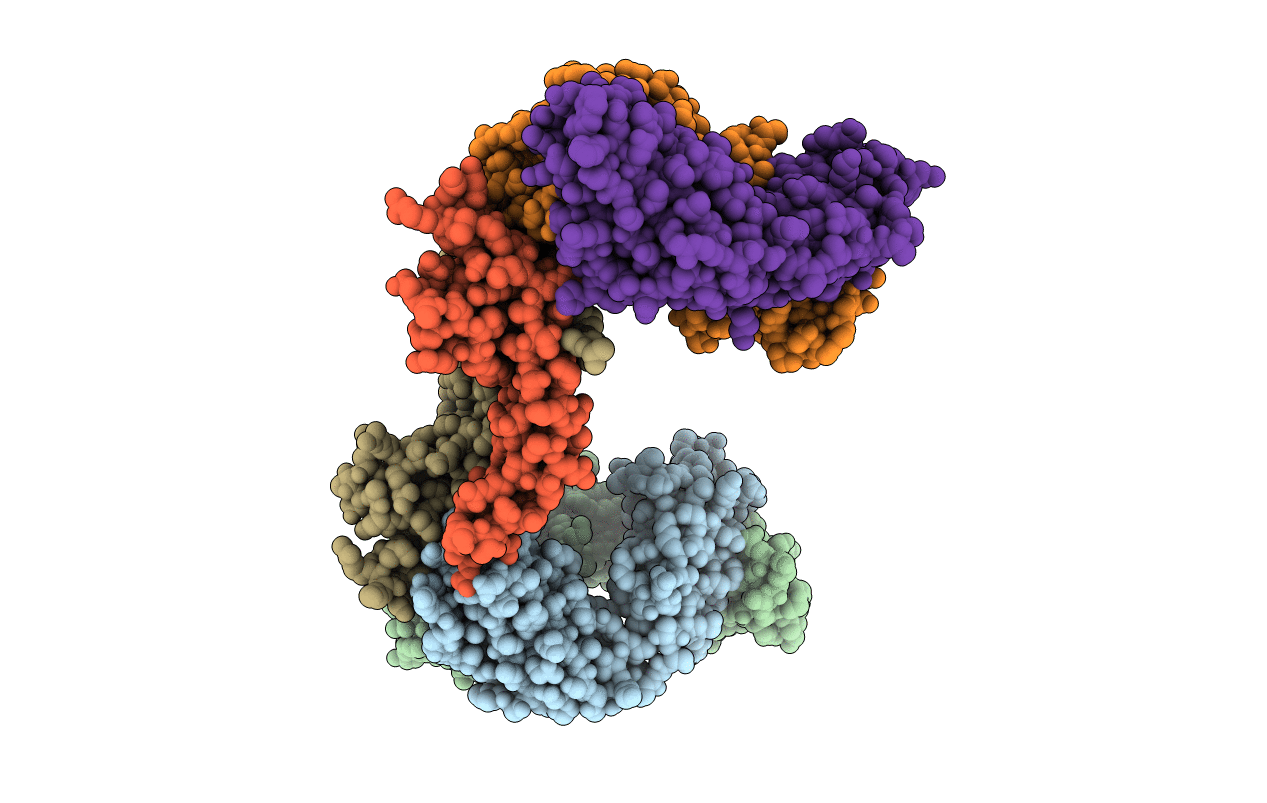 6T9E image
