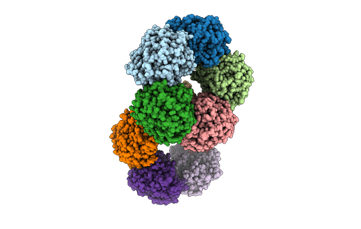 6T9H image