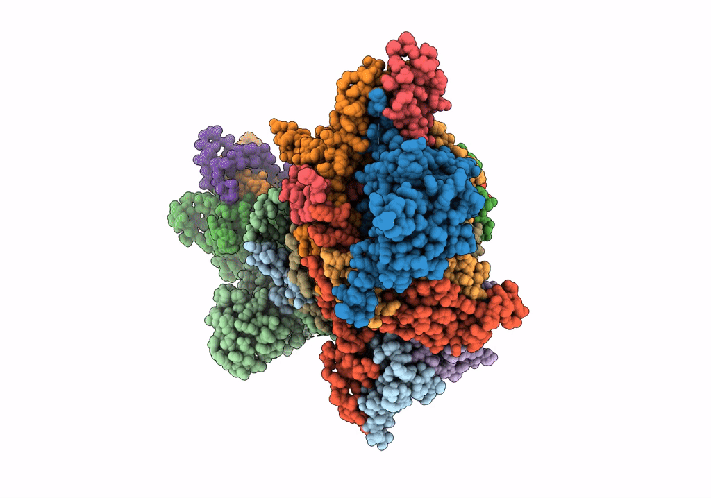 6T9K image