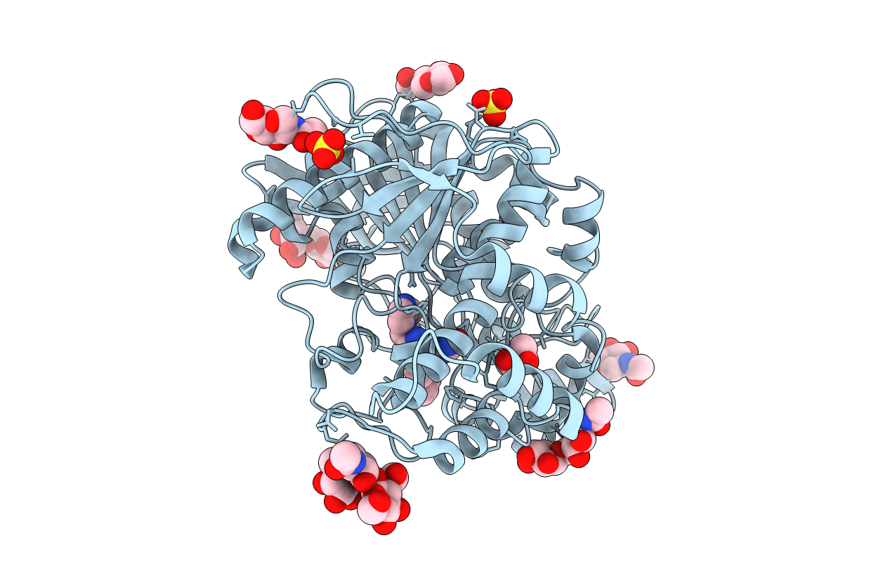 6T9P image