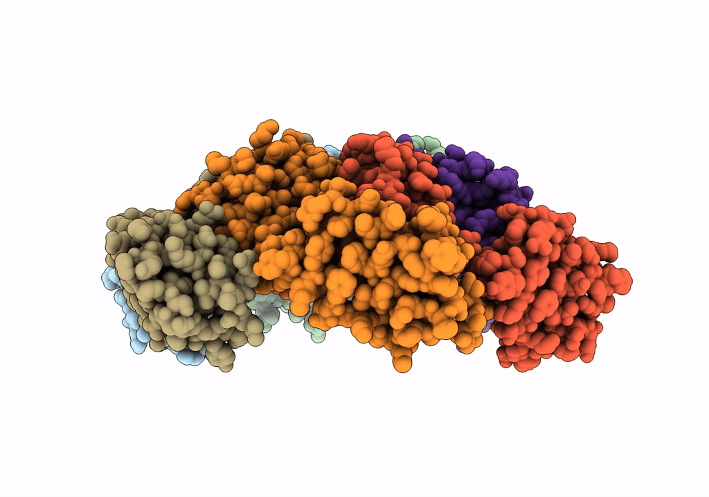 6TAU image