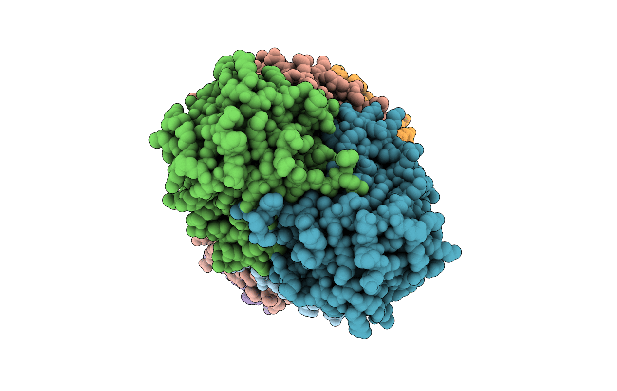 6TBB image