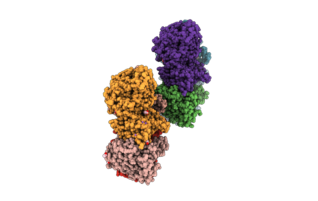 6TBG image