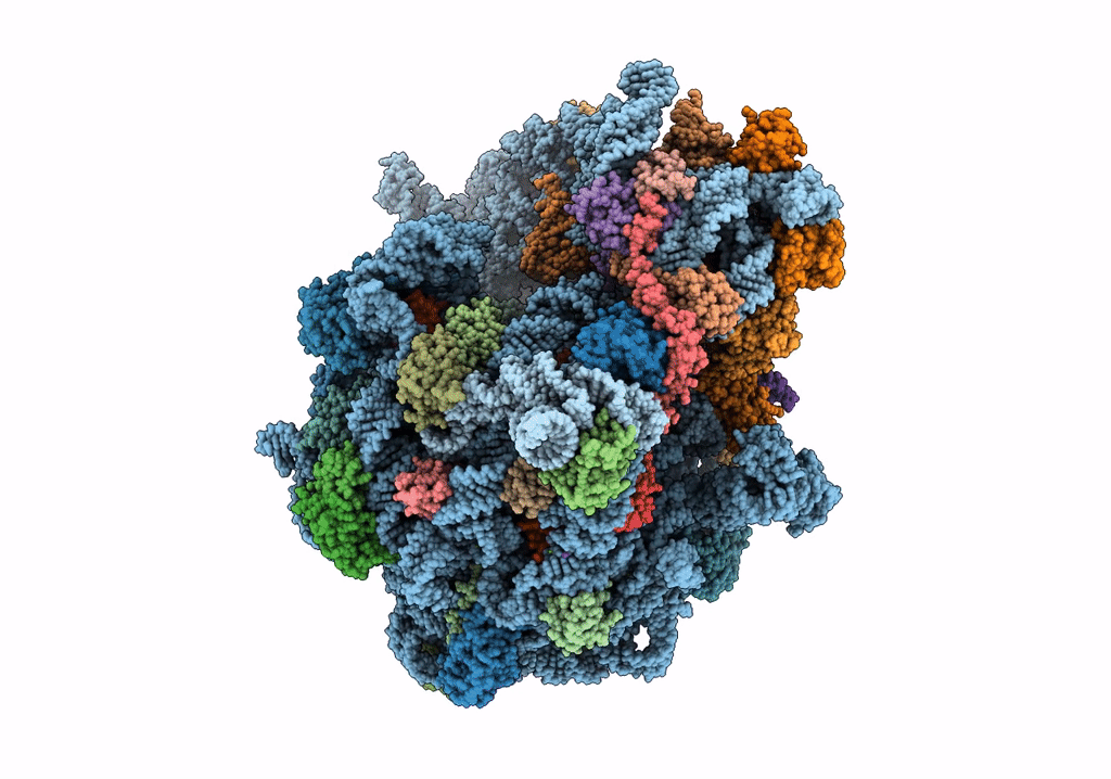 6TBV image