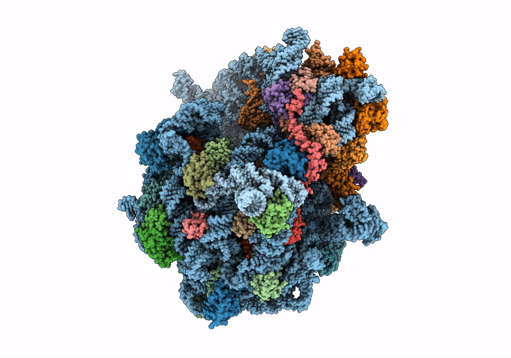 6TC3 image