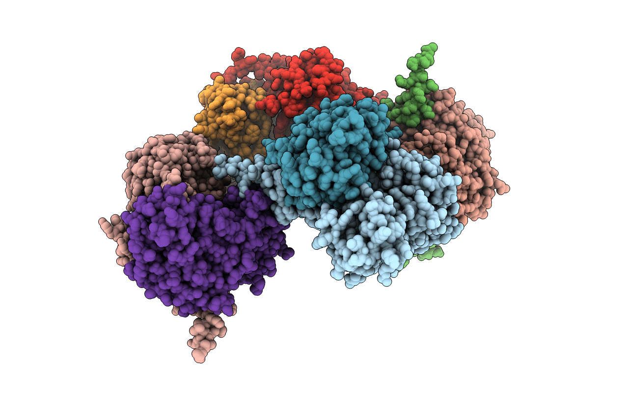 6TCA image