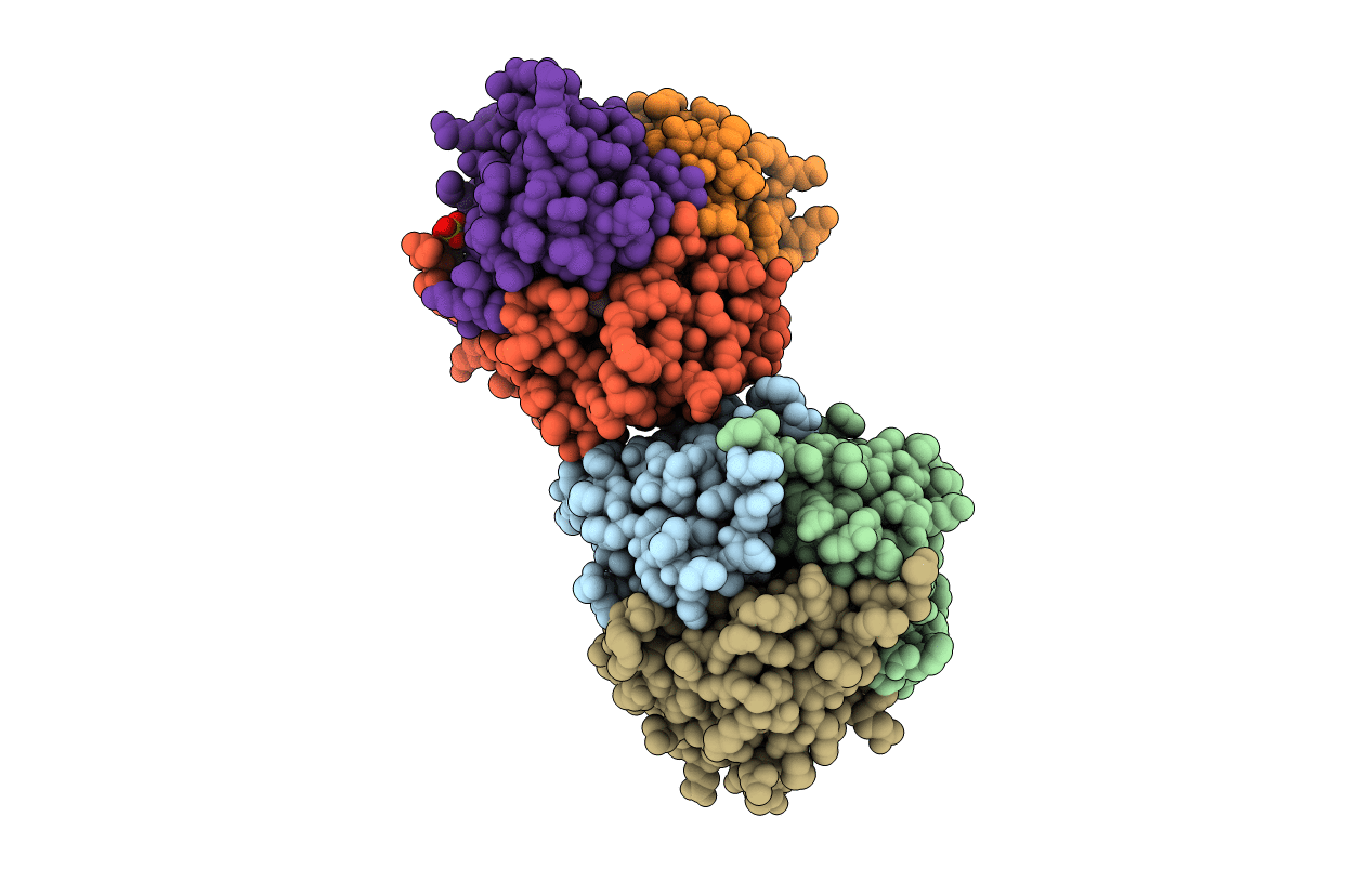 6TCD image