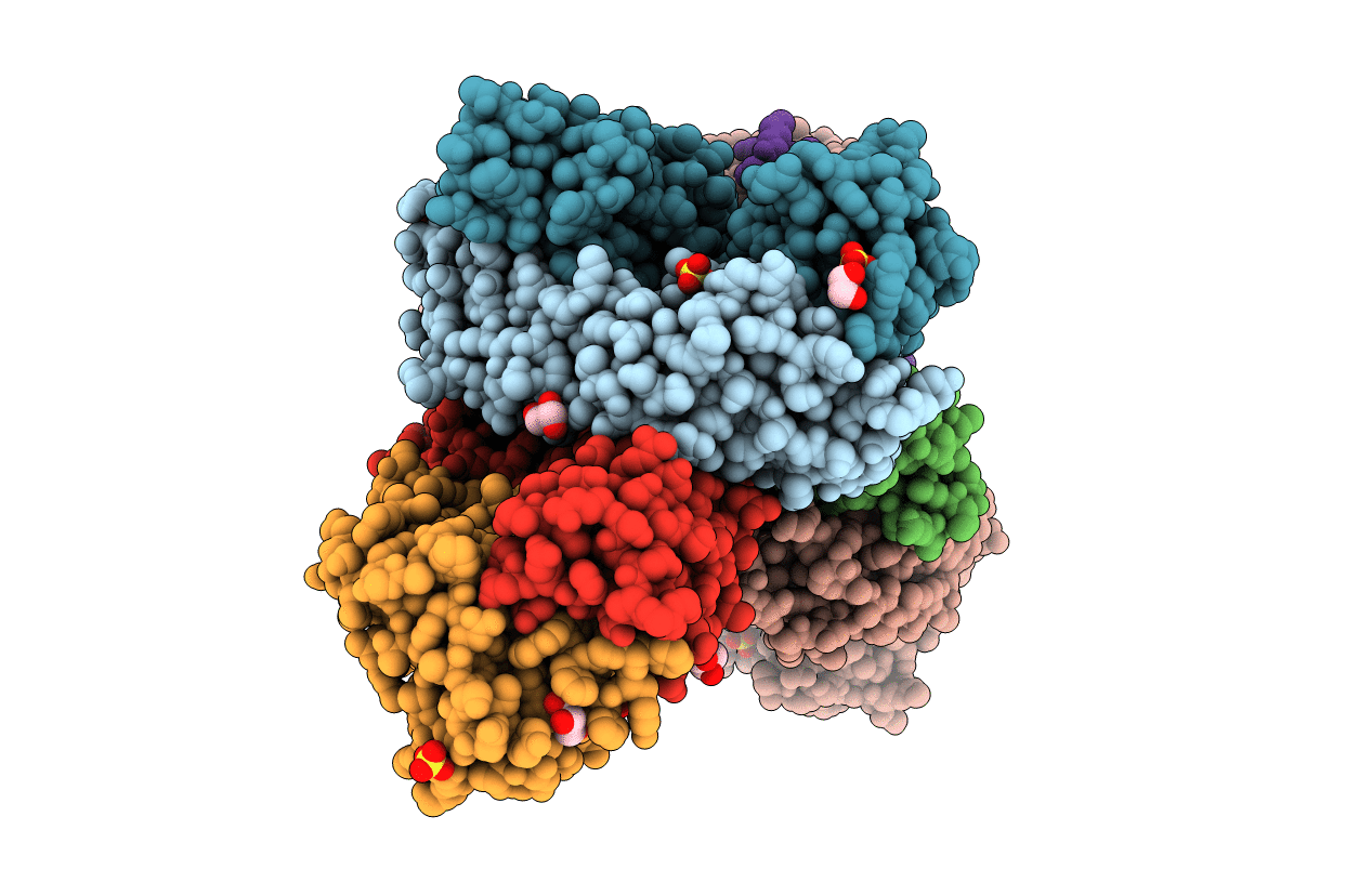 6TCP image