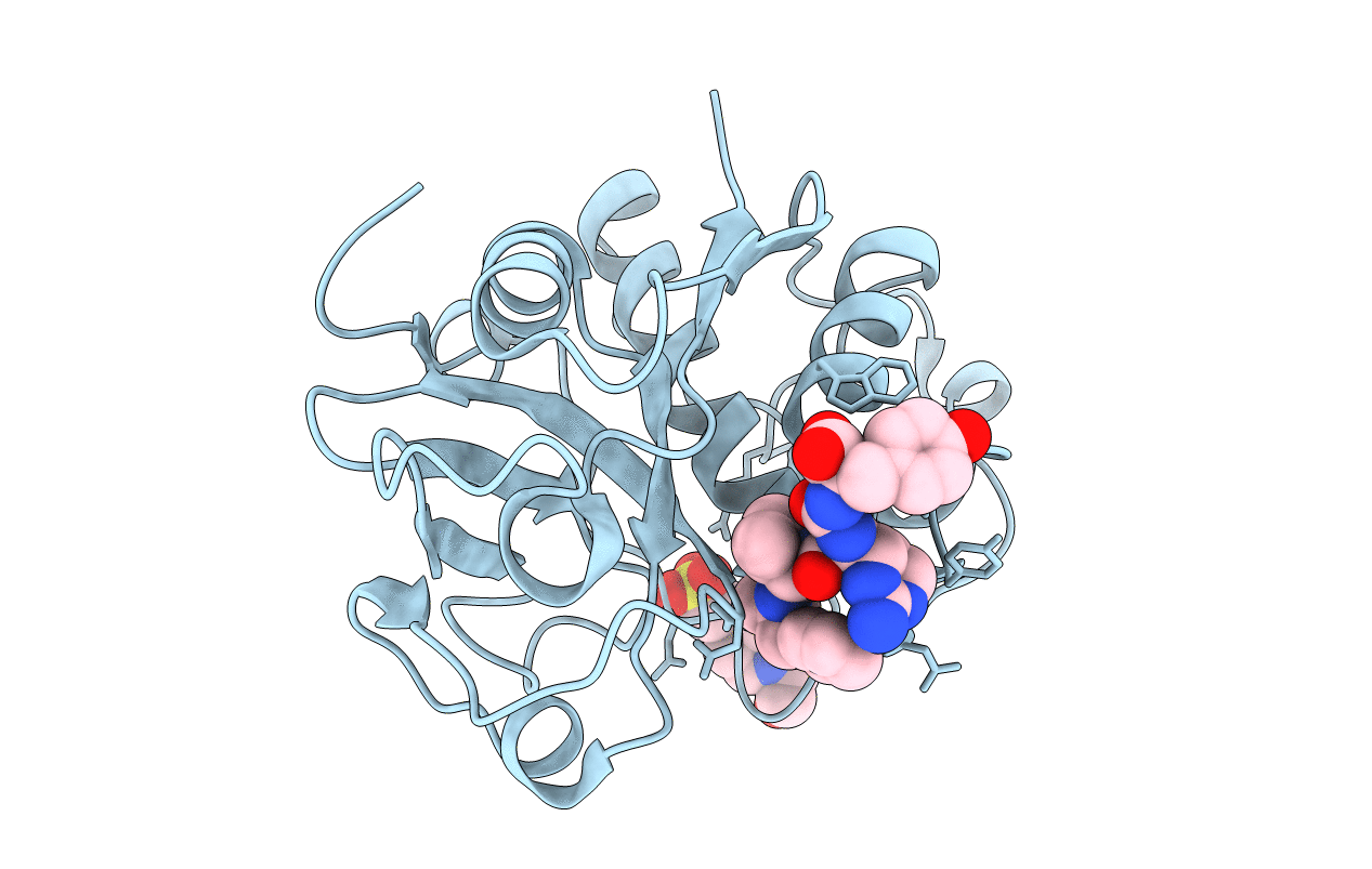 6TCX image