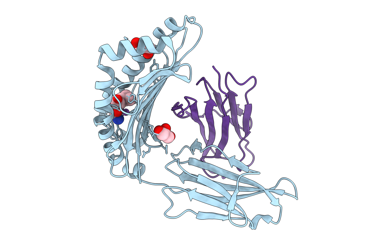 6TDP image