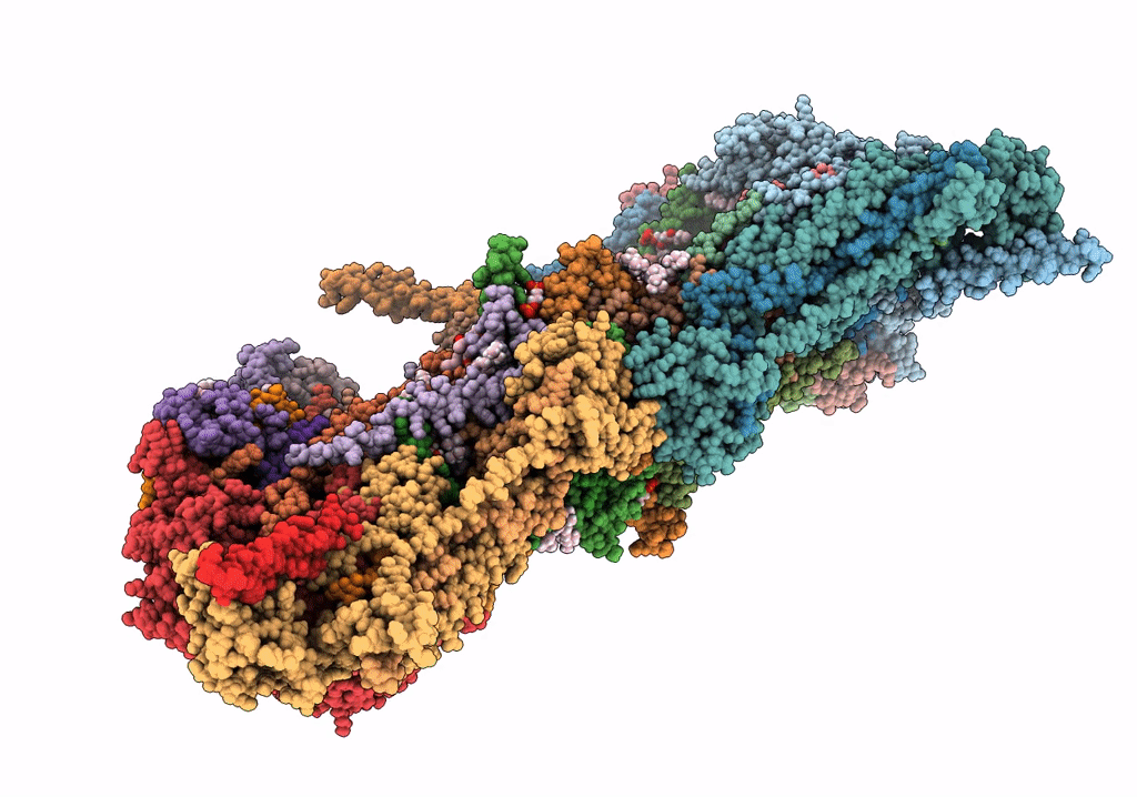 6TDV image