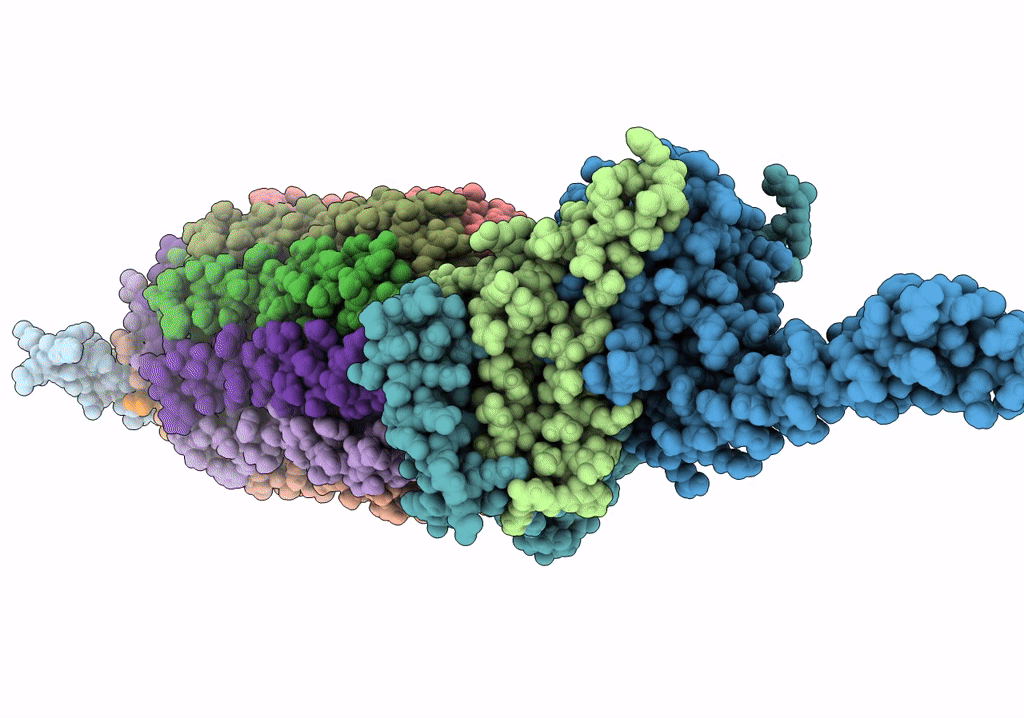 6TDX image