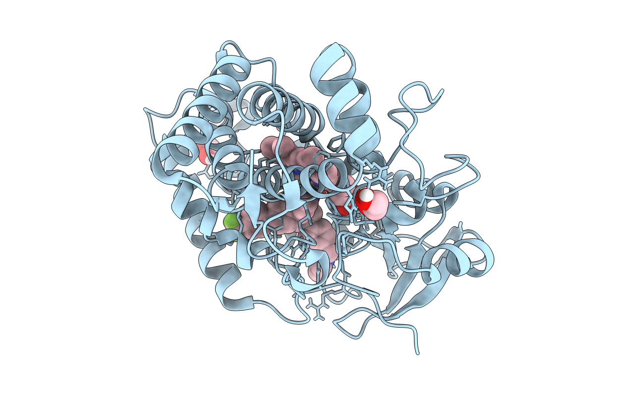 6TEV image