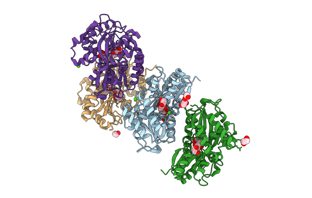 6TG2 image