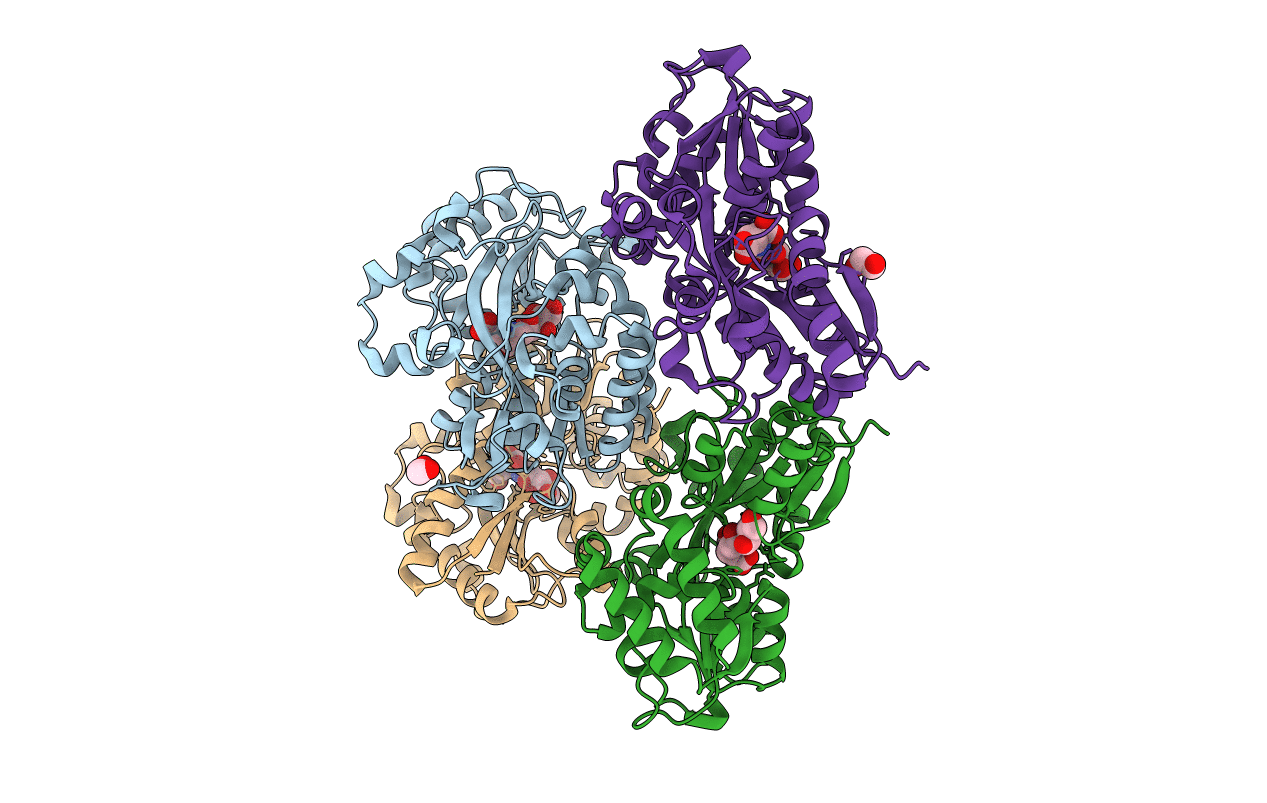 6TG3 image