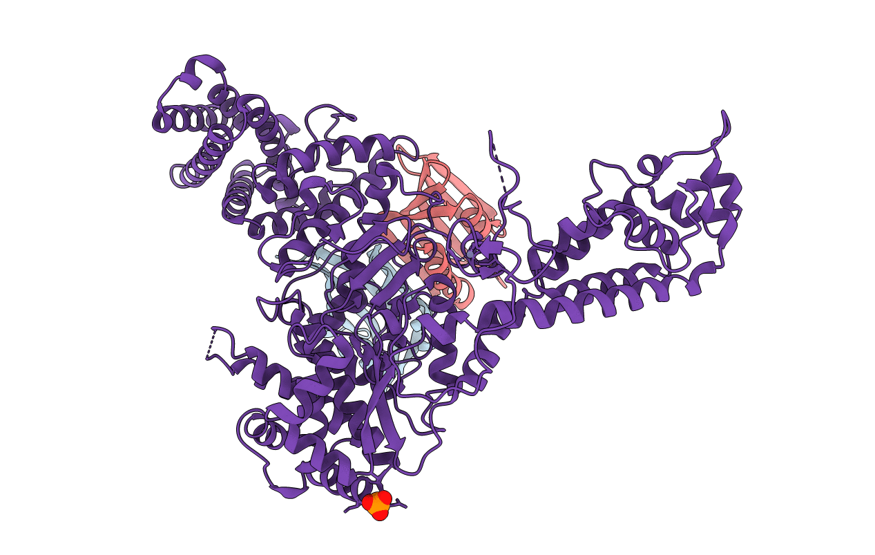 6THH image
