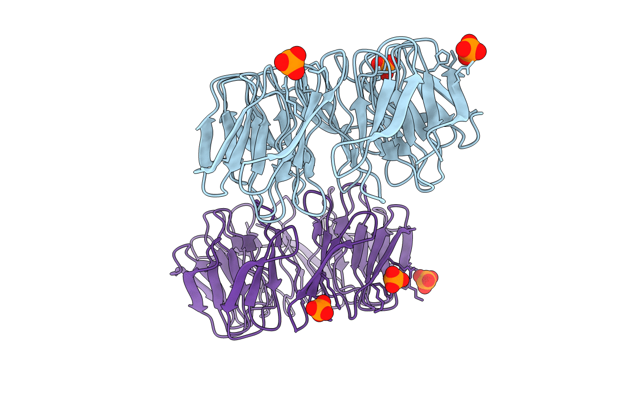 6TJI image