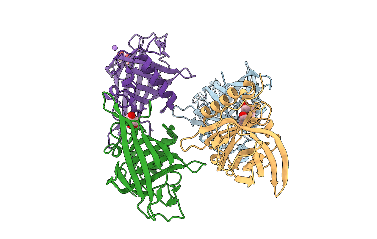6TLB image