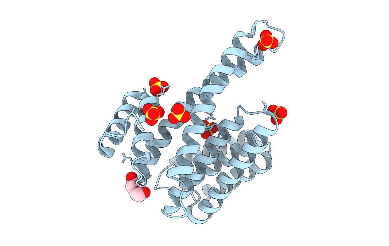 6TLG image