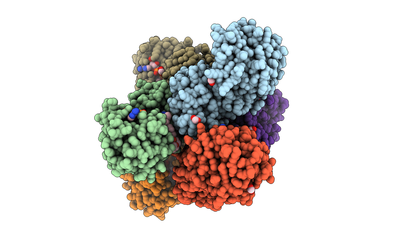 6TLK image