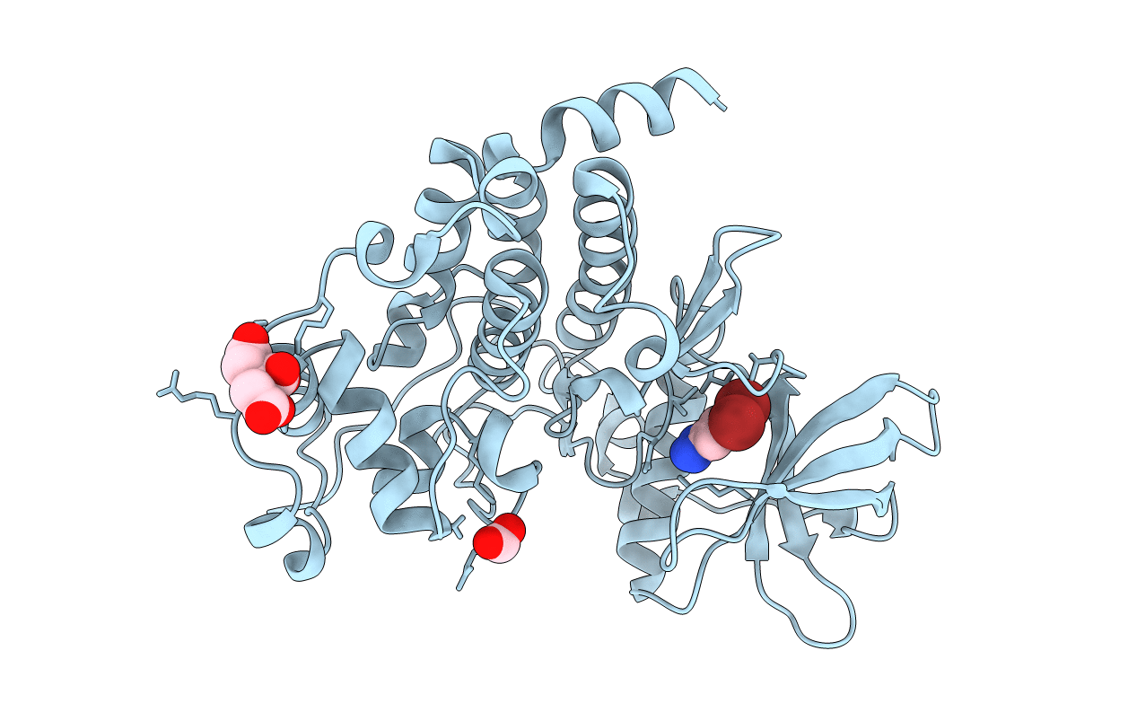 6TLP image