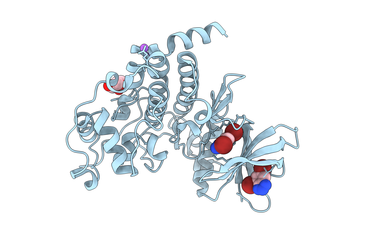6TLS image