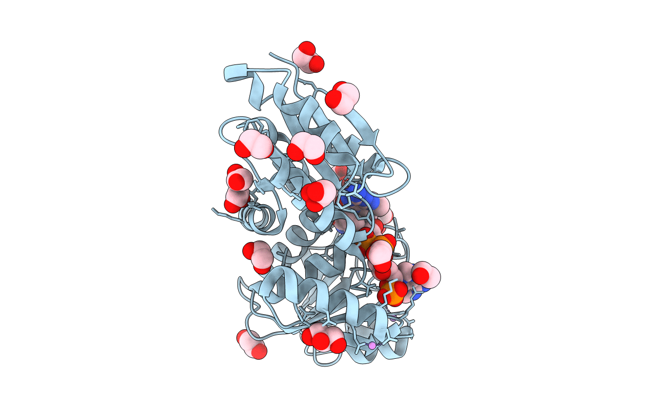 6TM3 image