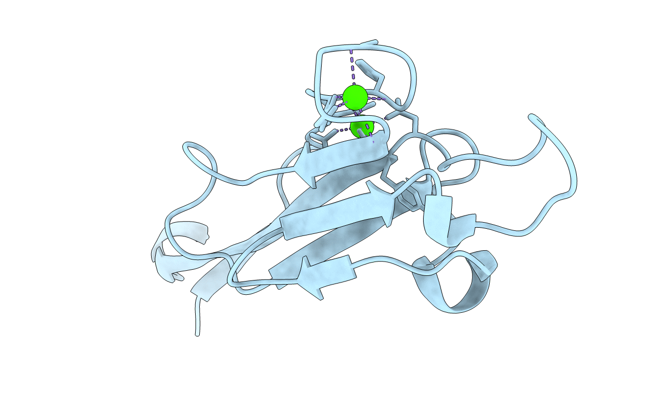 6TM6 image