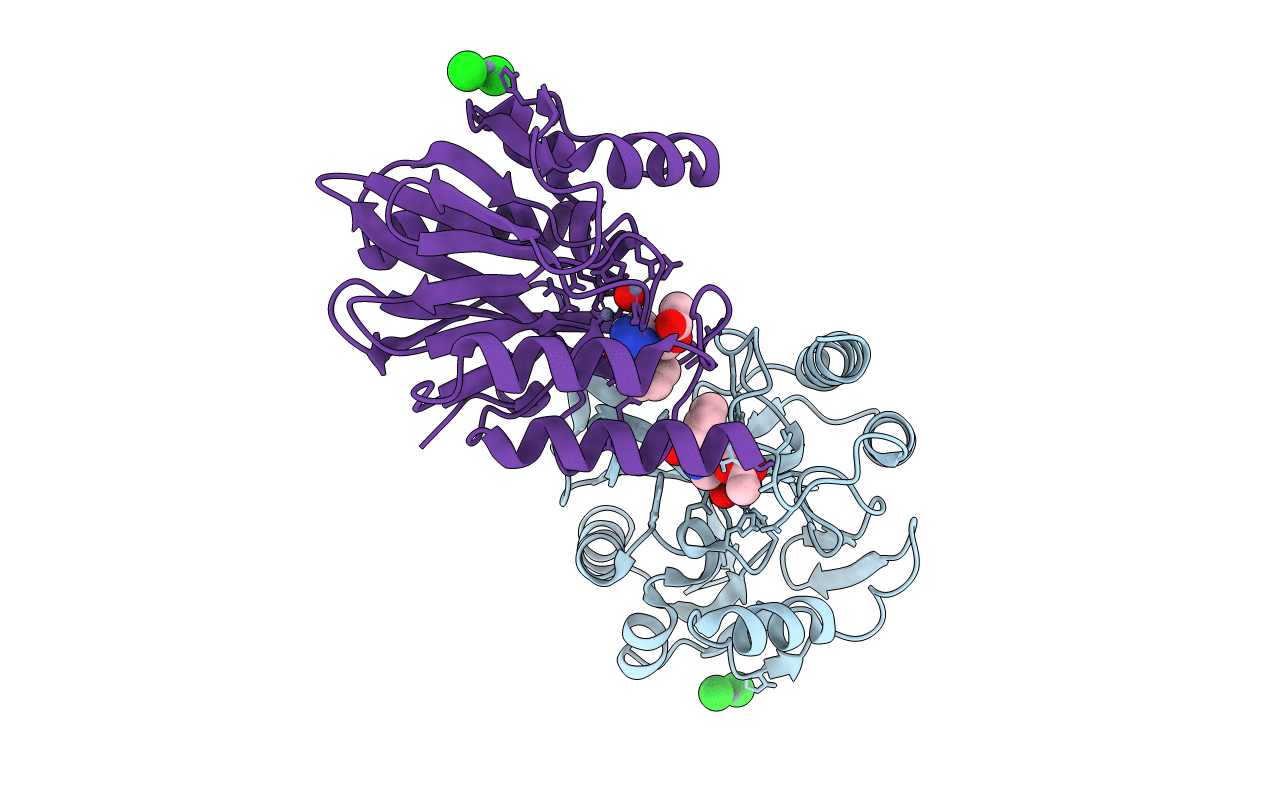 6TMA image