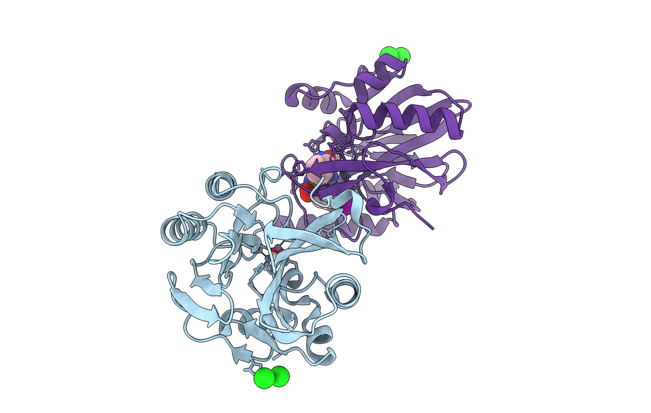 6TMB image