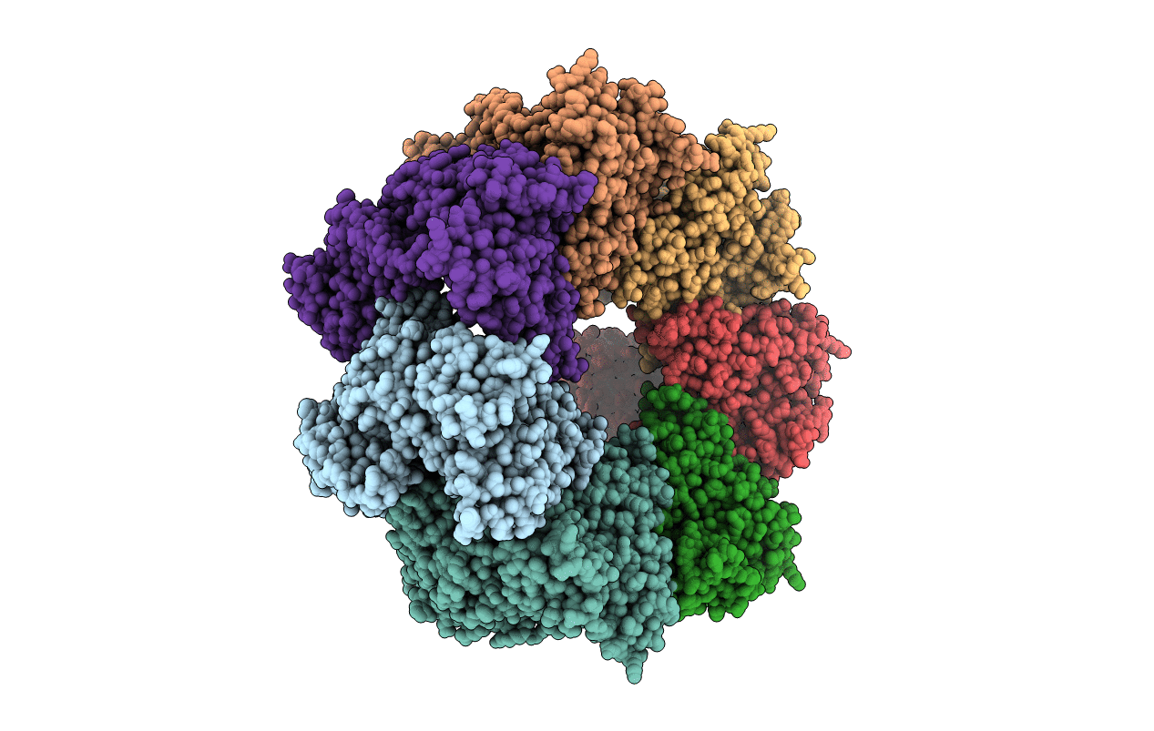 6TMU image