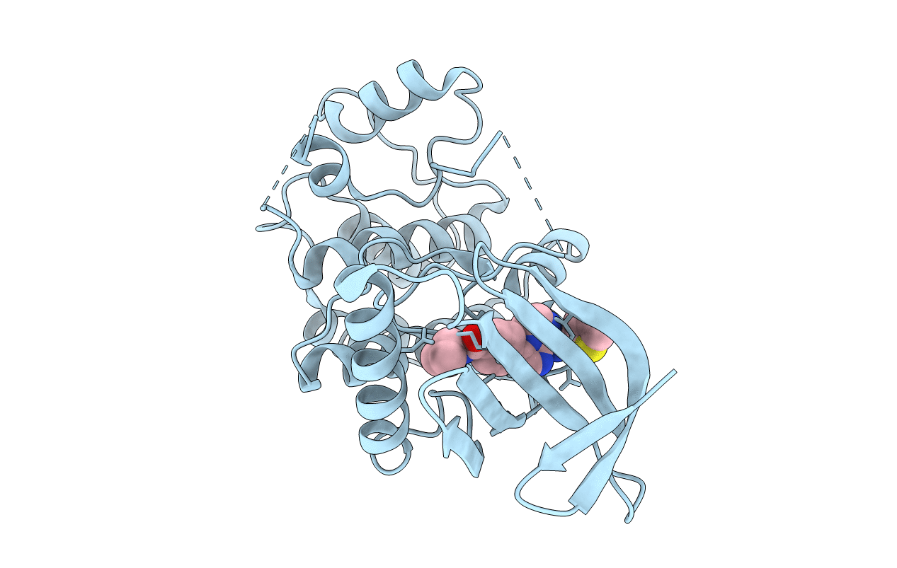 6TNC image
